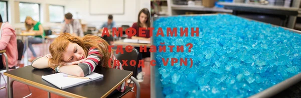 гидра Абаза