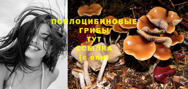 дурь Абдулино