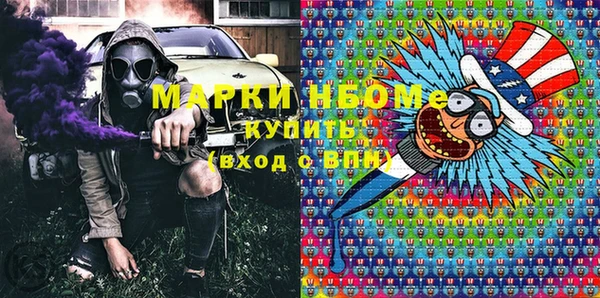 гидра Абаза