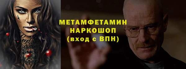 гидра Абаза