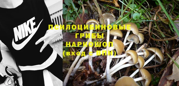 дурь Абдулино