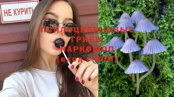 дурь Абдулино