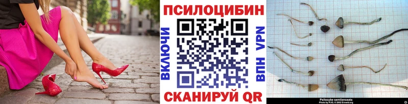Галлюциногенные грибы Cubensis  Батайск 